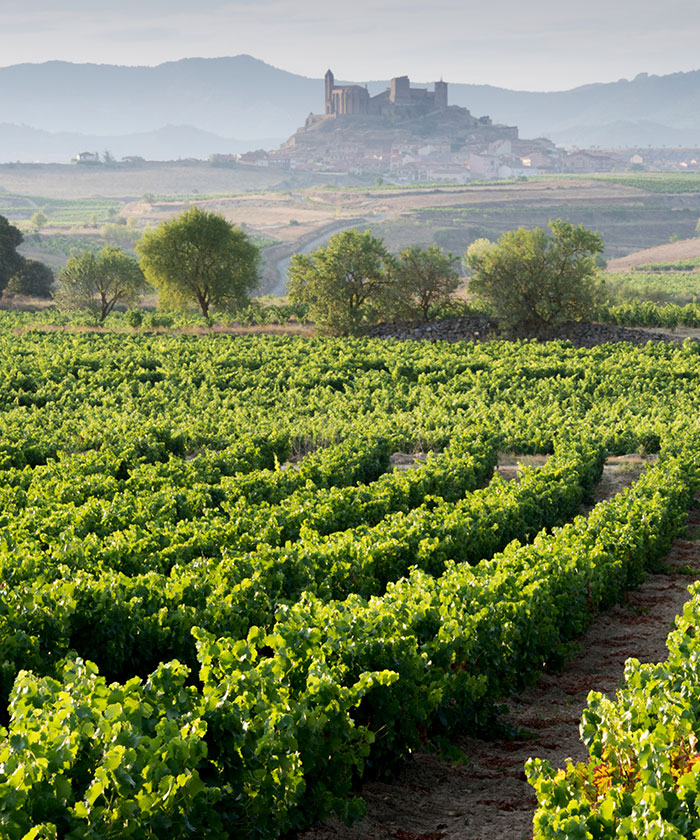 Firmarejse til Ribera del Duero & Rioja