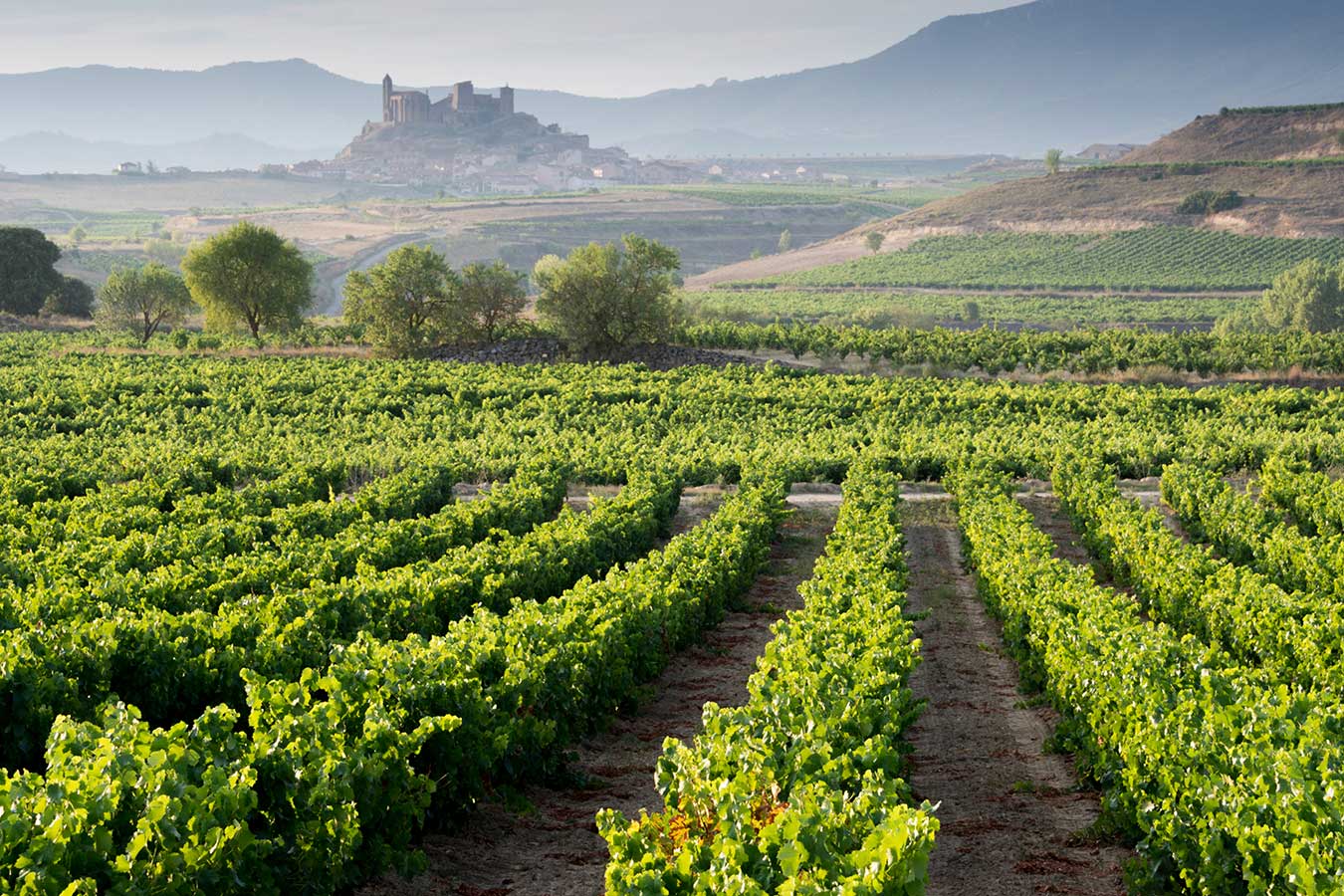 Ribera del Duero